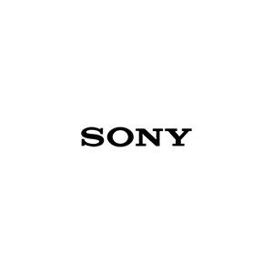 Sony kamera batteri
